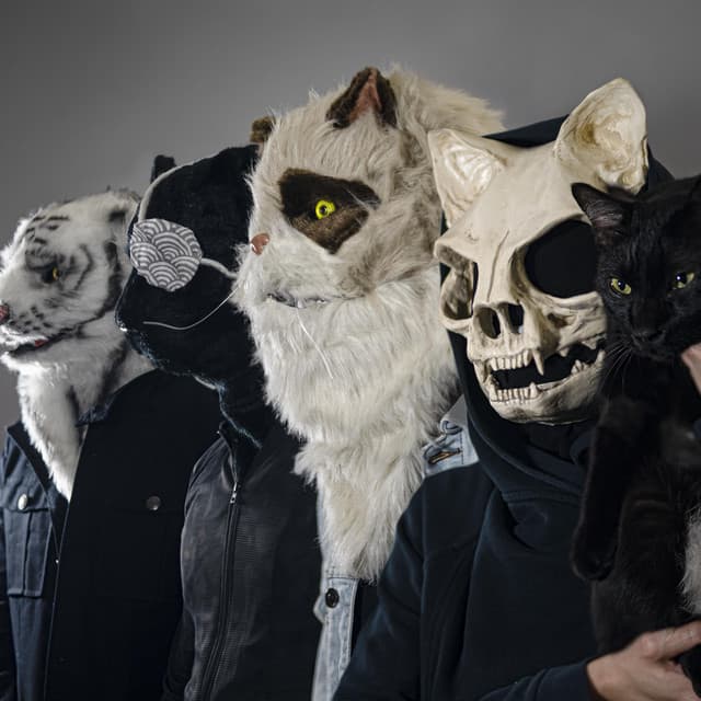 Ultra Mega Cat Attack